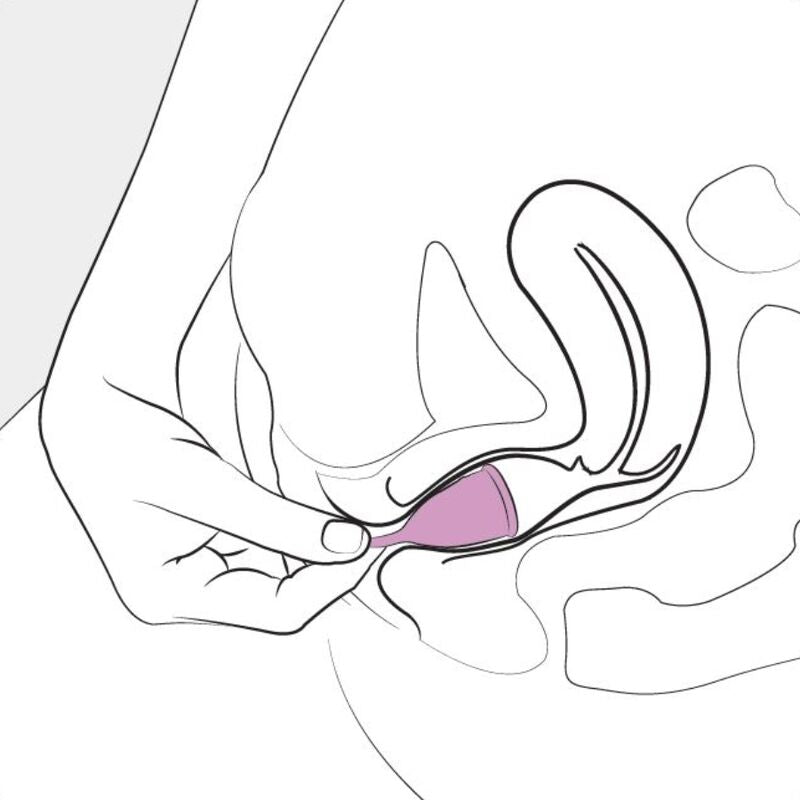Coupe Menstruelle Silicone Eve - 12h de Protection - Femintimate