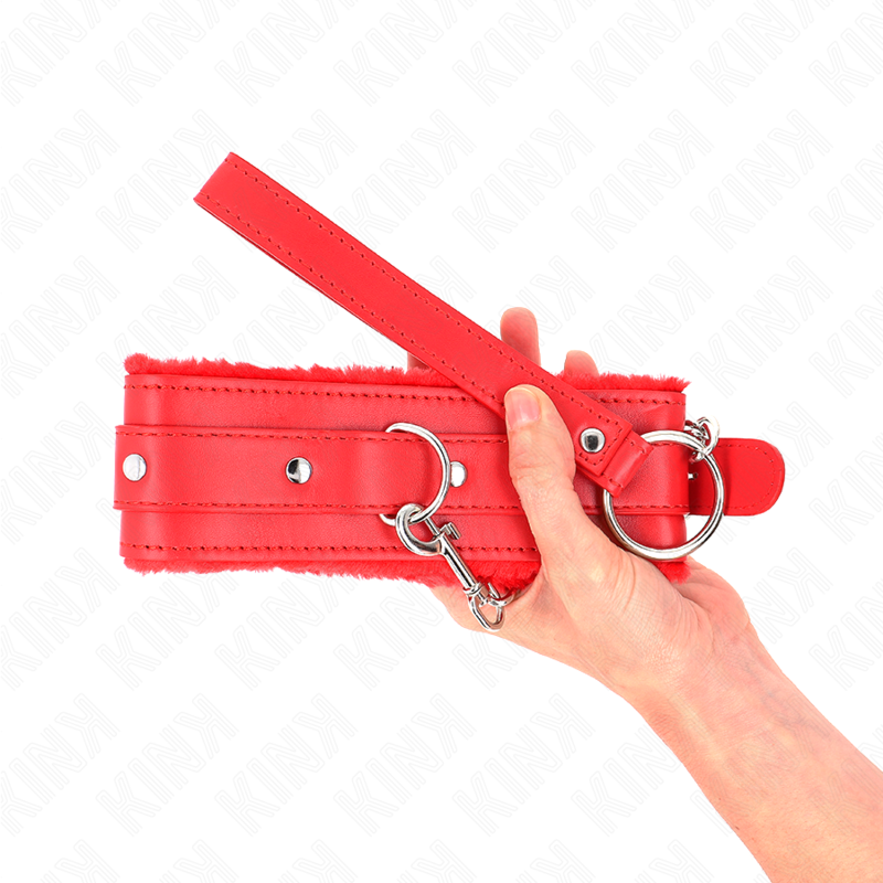 Collier BDSM avec Laisse Métallique 65 cm Réglable 36-42 cm - Kink