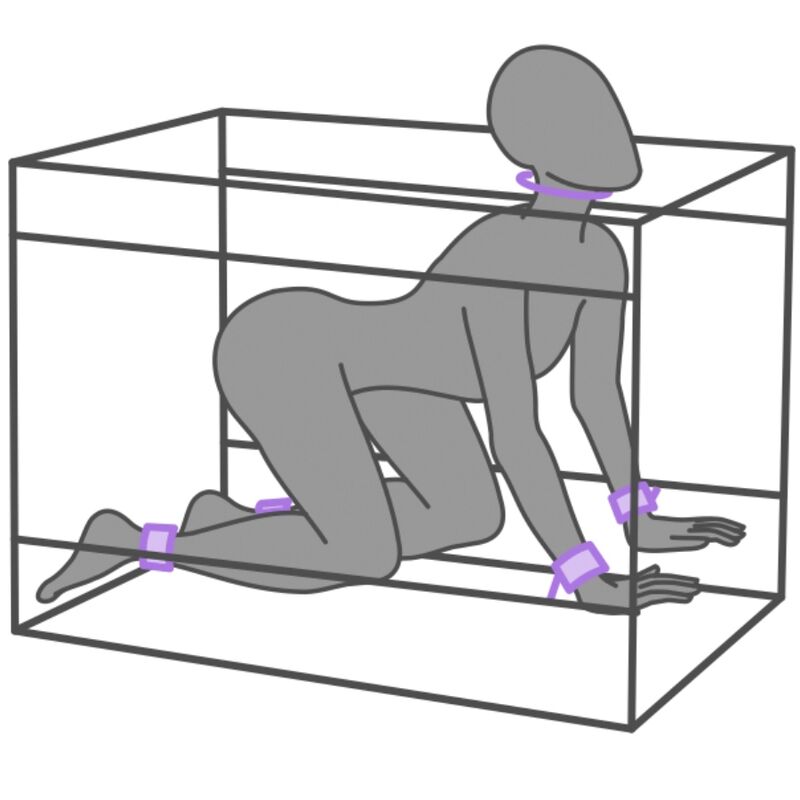 Cabine BDSM La Niche Système Holedome LED Menottes Entraves - Secret Dome