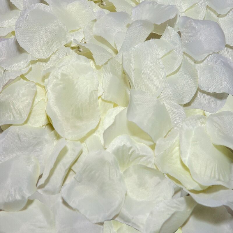 Pétales de Rose Décoratifs - 100 Pétales - Diablo Picante