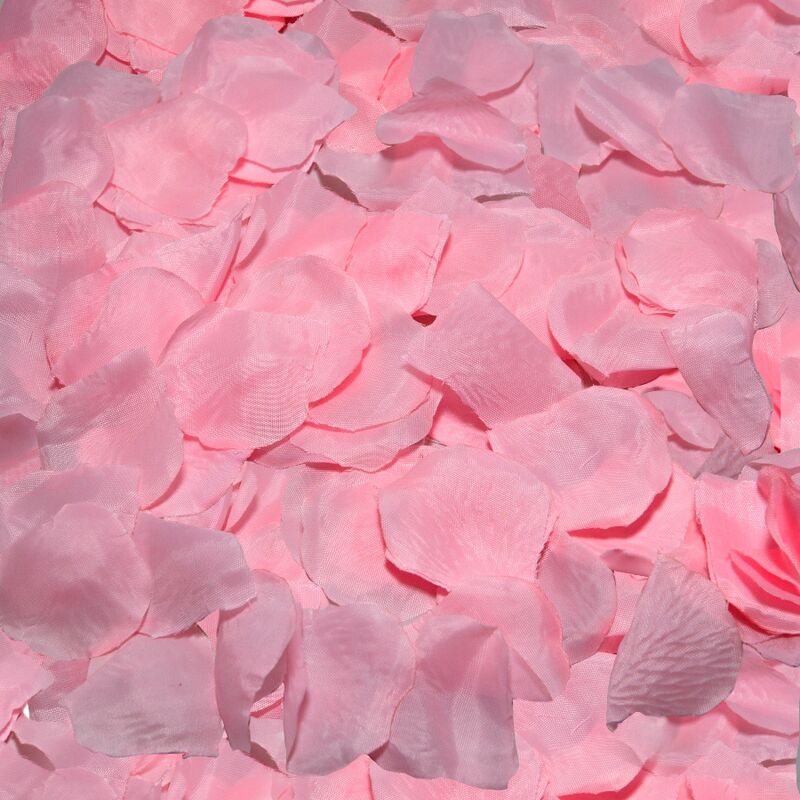 Pétales de Rose Décoratifs - 100 Pétales - Diablo Picante